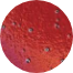 Ellipse-image-7
