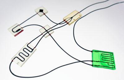Organ-on-a-chip-microfluidic-device