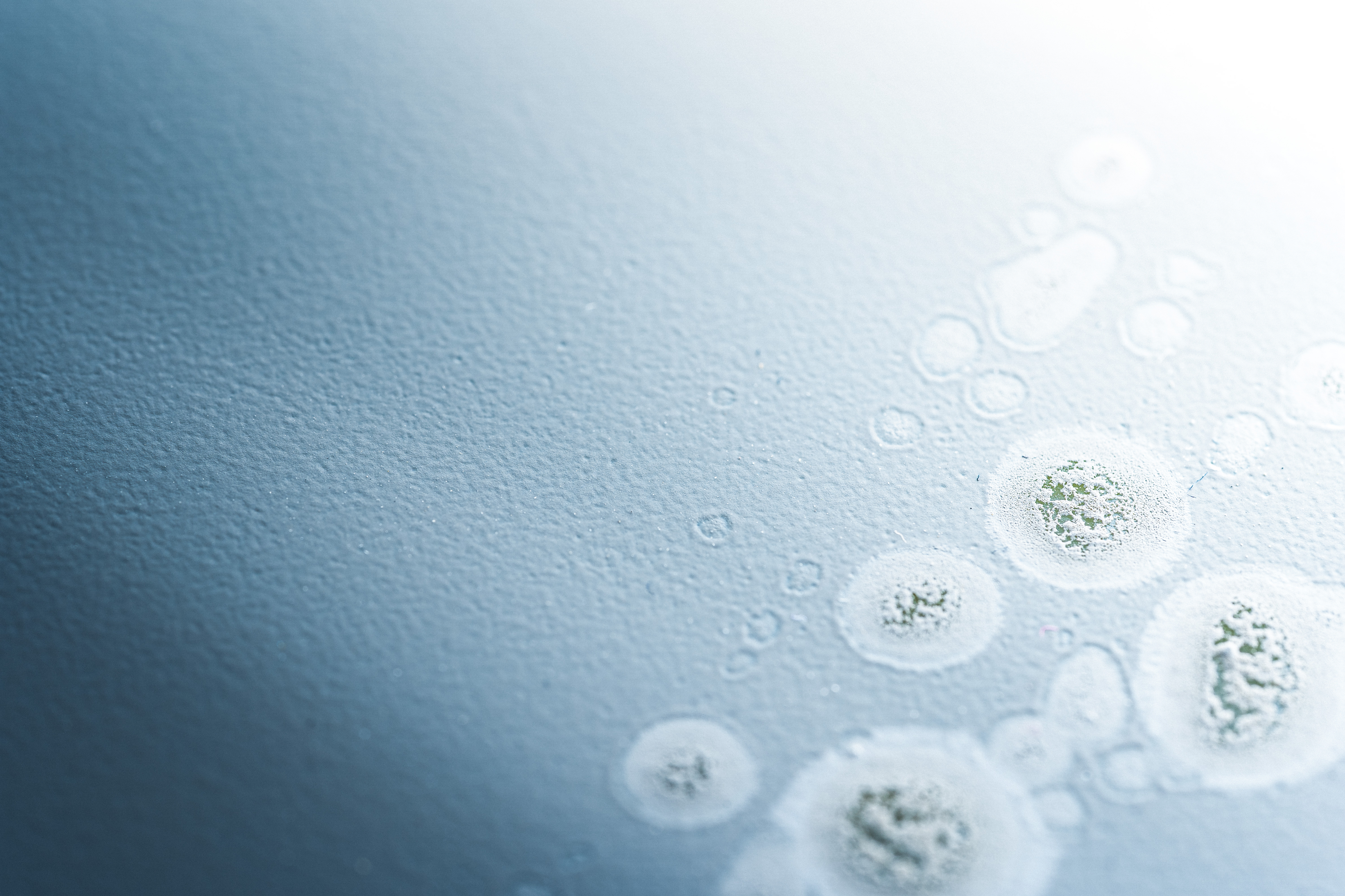 Antimicrobial Surface
