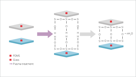 pdms_principle